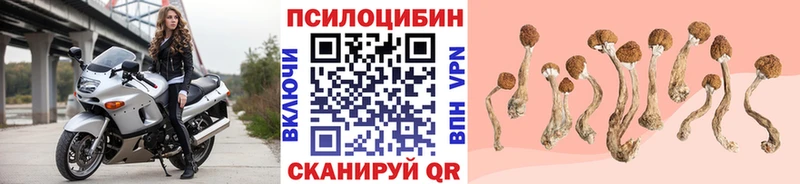 Псилоцибиновые грибы мицелий  Навашино 